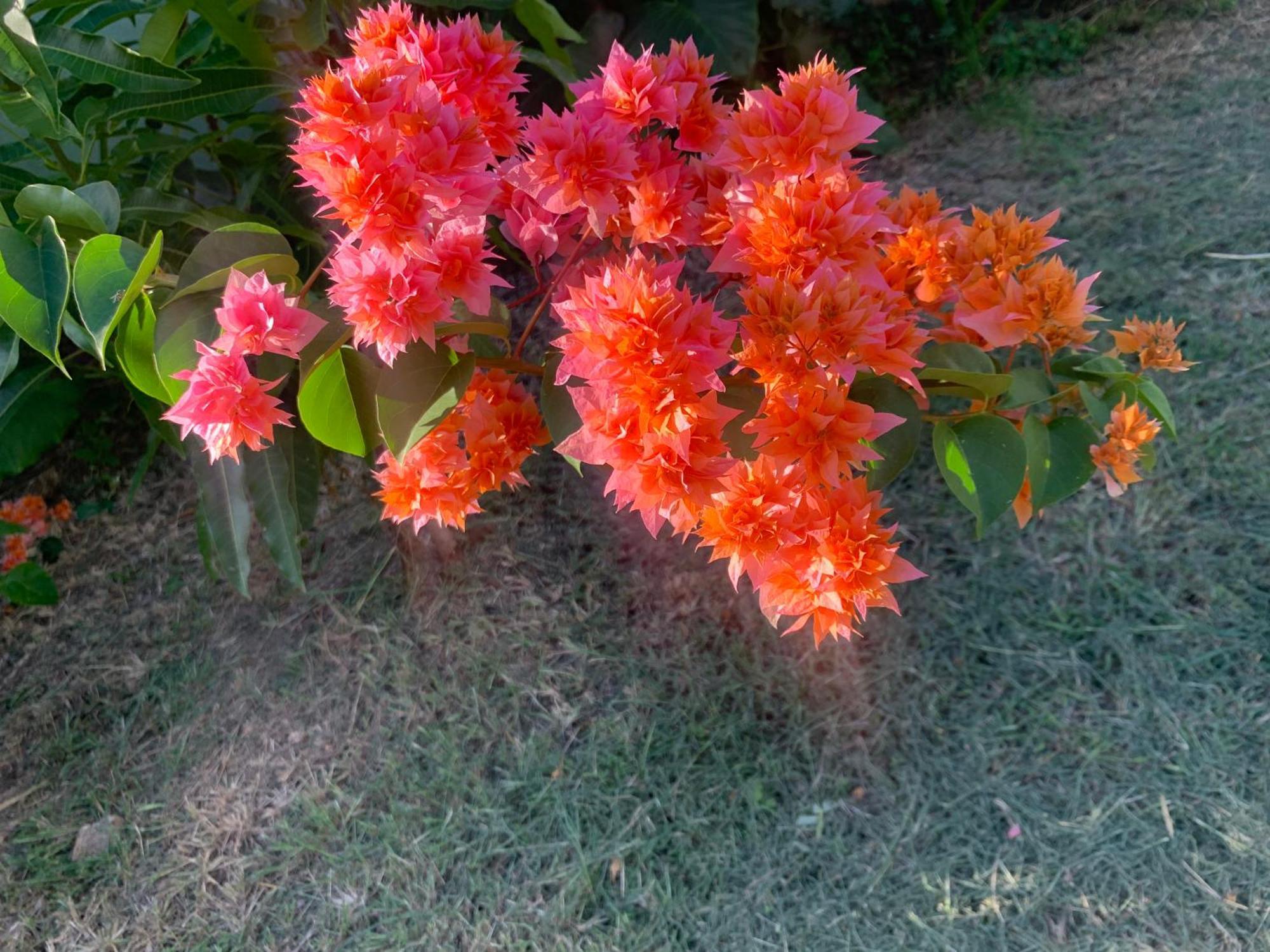Ocean Bay Villa Port Mathurin