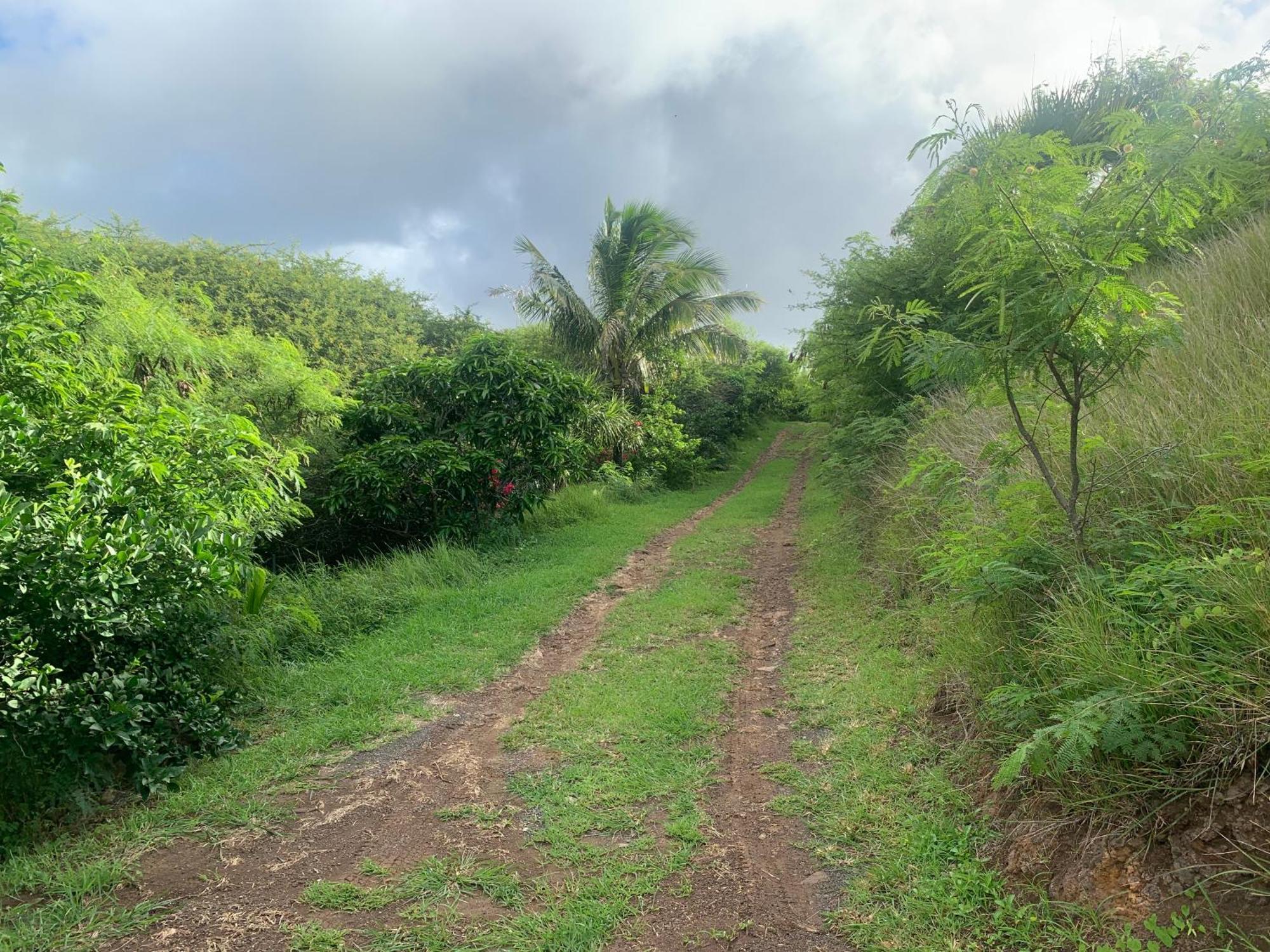 Villa Ocean Bay Port Mathurin